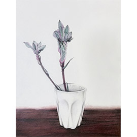 julie burke